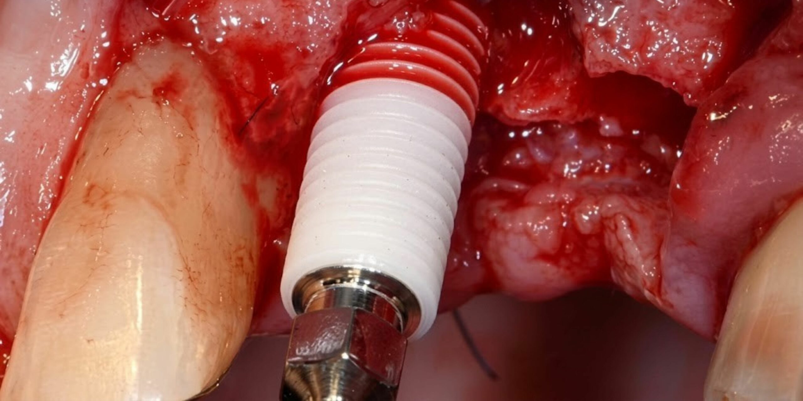 Formation Z-Systems - vendredi 18 septembre 2026